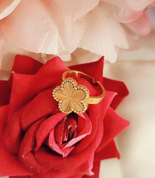 Bague ajustable en acier inoxydable